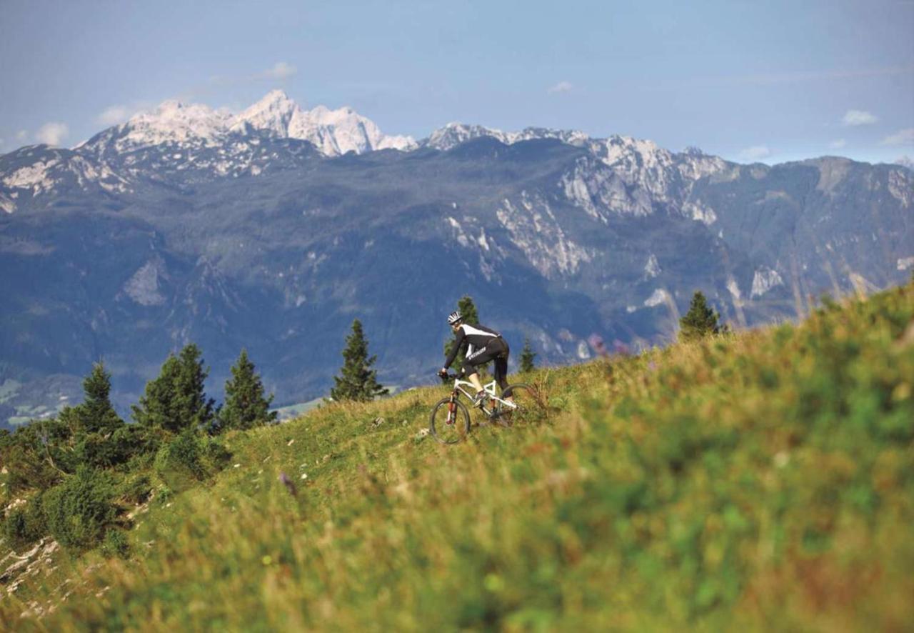 Camping Naturplac Na Skali Ljubno Kültér fotó