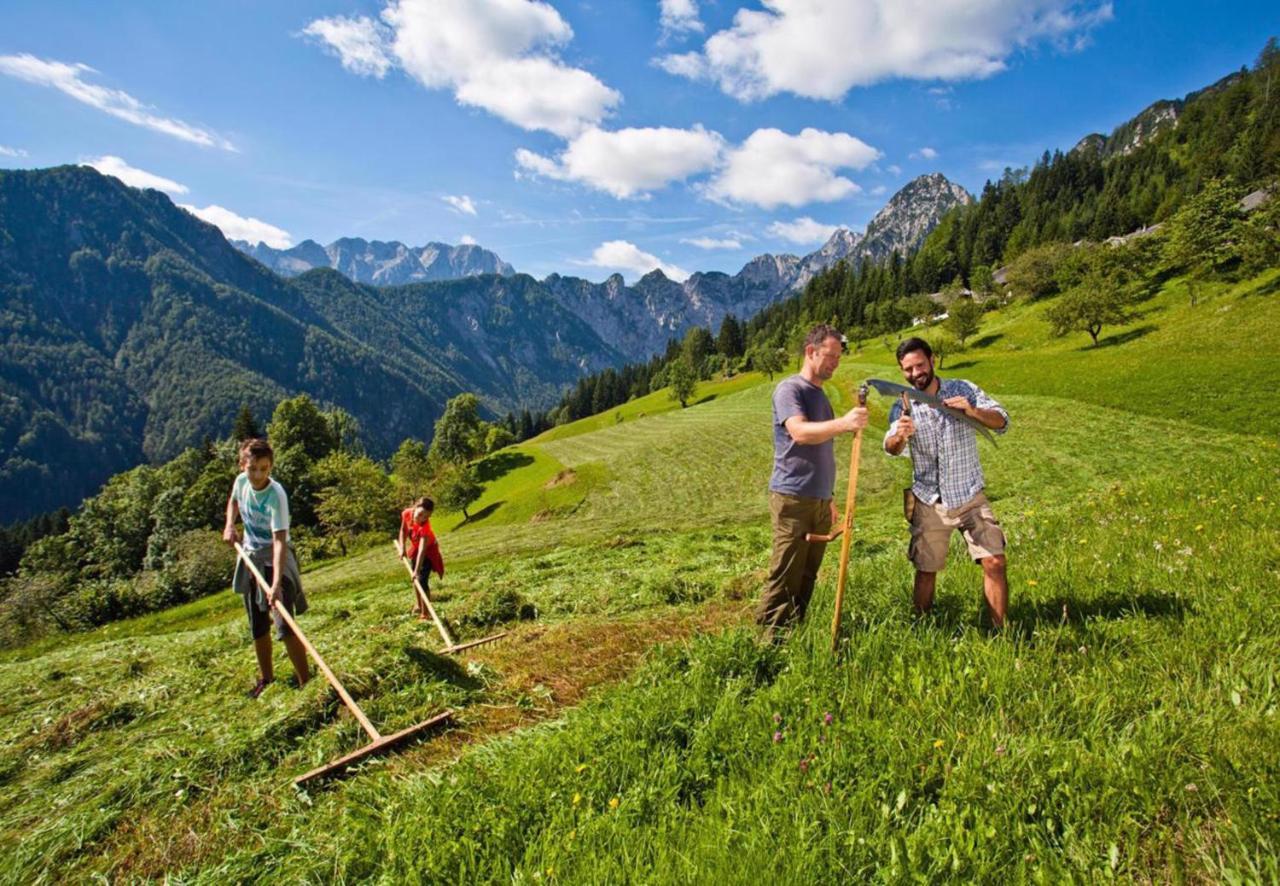 Camping Naturplac Na Skali Ljubno Kültér fotó