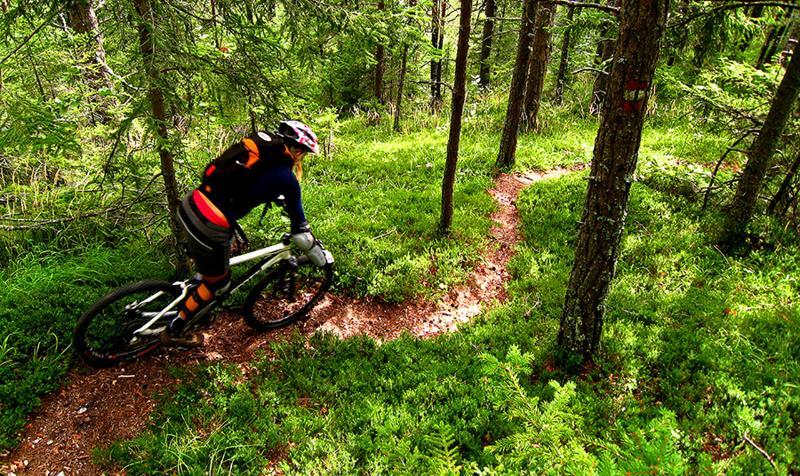 Camping Naturplac Na Skali Ljubno Kültér fotó